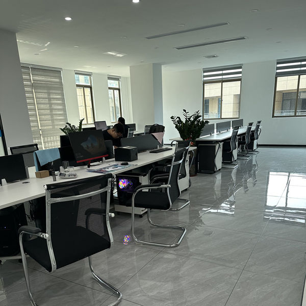 Çin Shenzhen Dingsheng Plasticization Co., Ltd. şirket Profili
